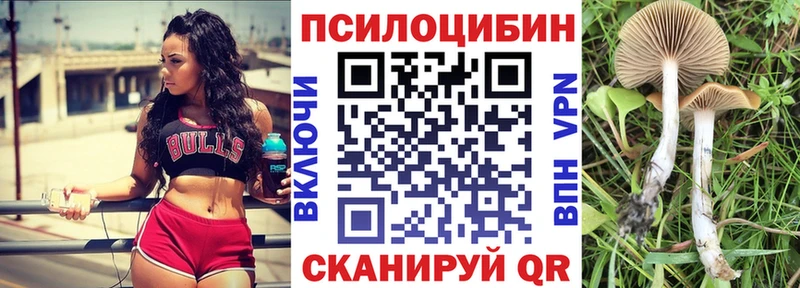 Галлюциногенные грибы прущие грибы  Щёлково 